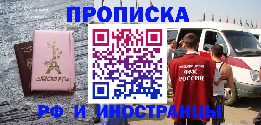 прописка поиск в Курской области